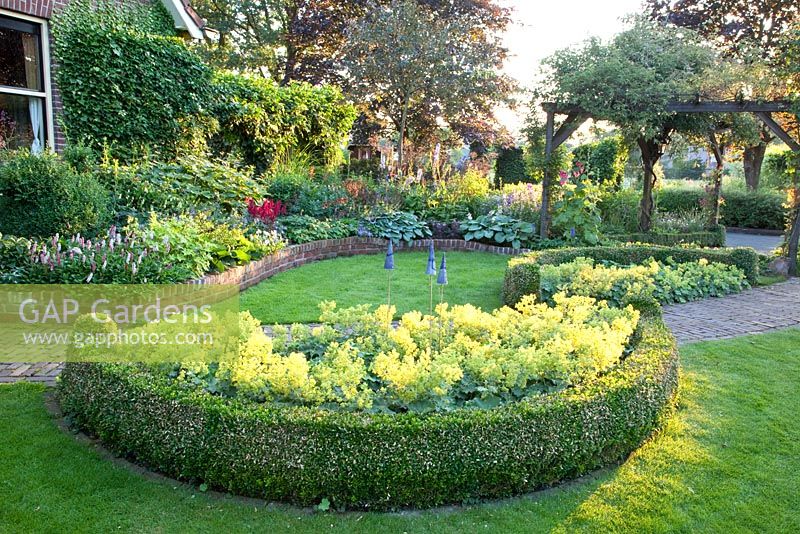 Garden with curved borders, pergolas and semi circular bed of Alchemilla mollis - Ladys Mantle with Buxus edging - Broekhuis Garden
