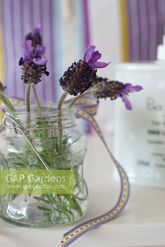 Lavender in glass vase and soap in bathroom cabinet