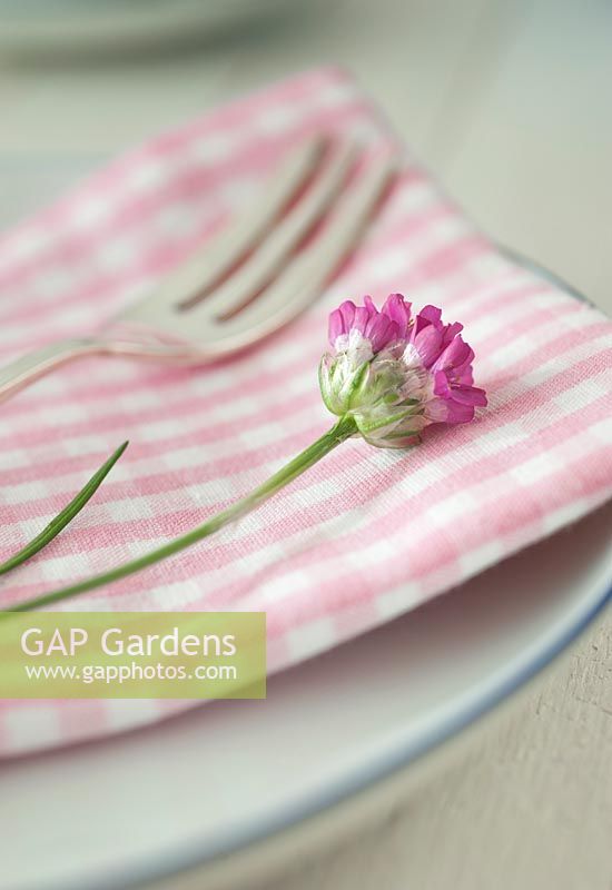Table setting with Pink flower