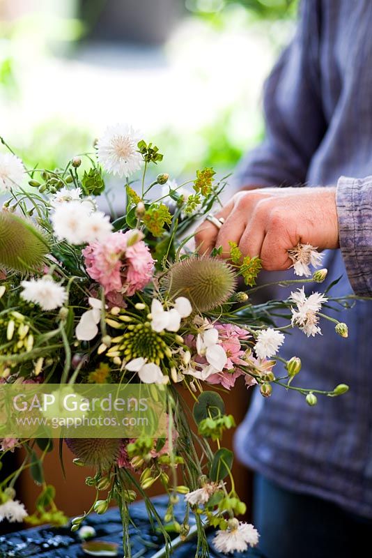Arranging bouquet of Consolida - Larkspur 'Pale Pink', Buplerum grifithii, Centaurea - Cornflower, Achillea 'The Pearl' - Growing Together Nursery 