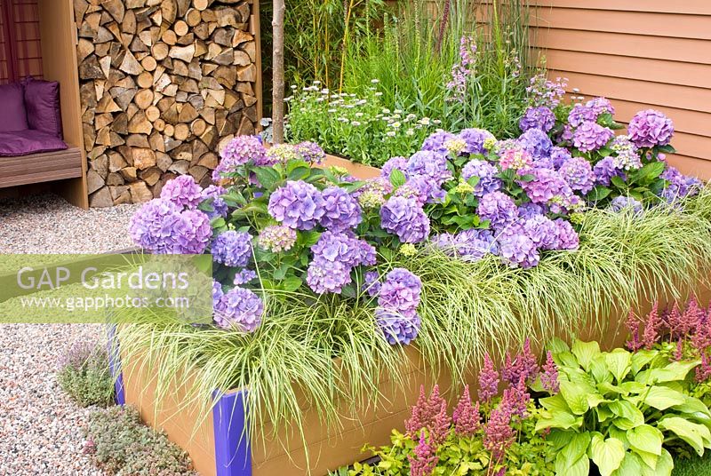 Gravel path, raised bed with Hydrangea, log store and adjacent seating area. Envirolink Northwest 'Futureproof - Waterproof' garden designed by Tim Fowler at Tim Fowler Garden Design. RHS Tatton Flower Show 2011