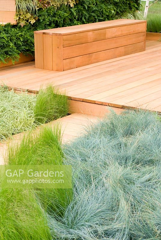 Wooden decking and bench with swathes of Carex and Polypodium vulgare. 'The Green Room' designed by Owen Morgan