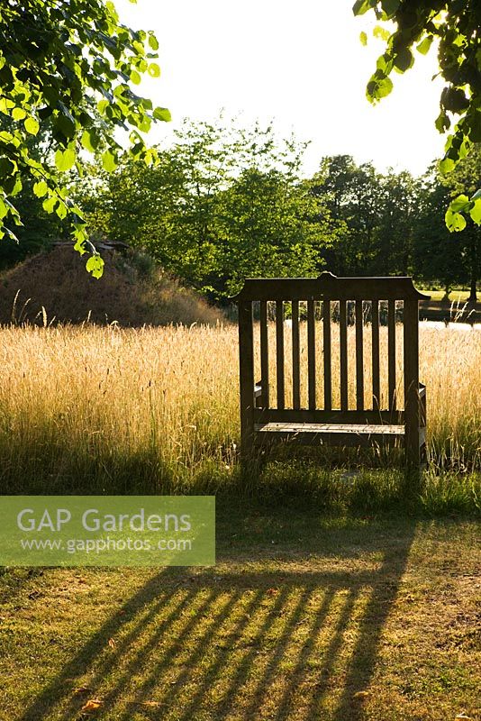 Meadow garden with wooden bench, Oxfordshire