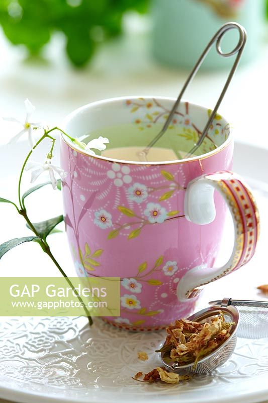 Cup of jasmin tea