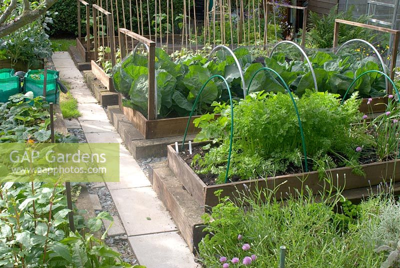 Vegetable plot in cottage garden, with an arrangement of raised beds and supports 