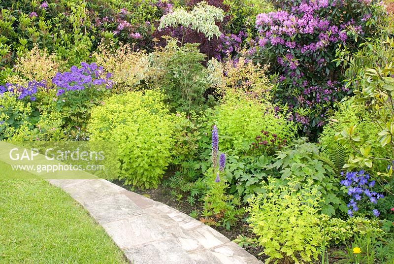 Colourful summer border and garden path