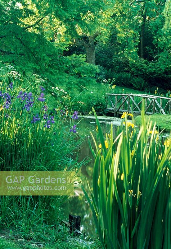 Pond with natural planting of wildflowers and bridge 
