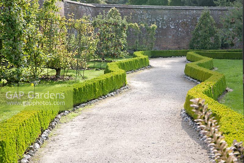 Zig zag pathway through orchard in late summer with low Buxus hedges - West Dean, Sussex