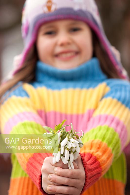Girl in striped jumper holding Snowdrops