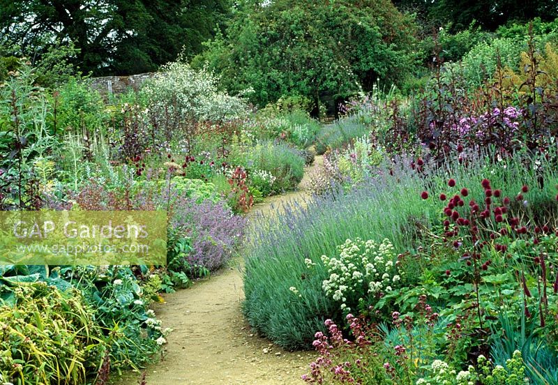 Wide perennial border in mid-summer at Perham House