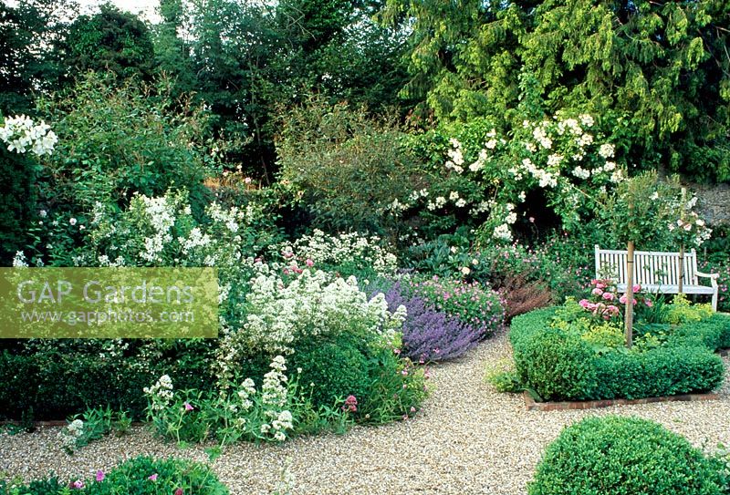 A gravel garden, with wooden garden bench, with a number of small perennial beds edged in red brick with Buxus.  Predominantly white and blue planting spilling over paths