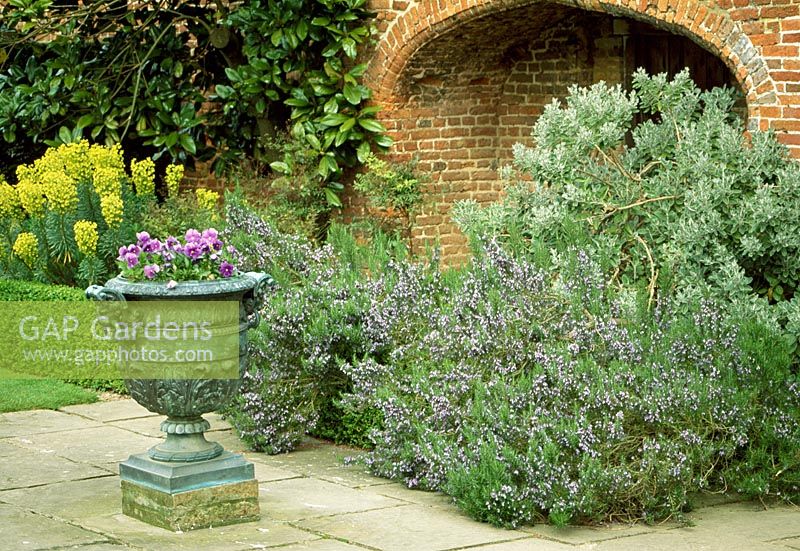 A feature in a old brick wall is highlighted by placement of a urn of Viola and accent planting, to encourage further investigation. 