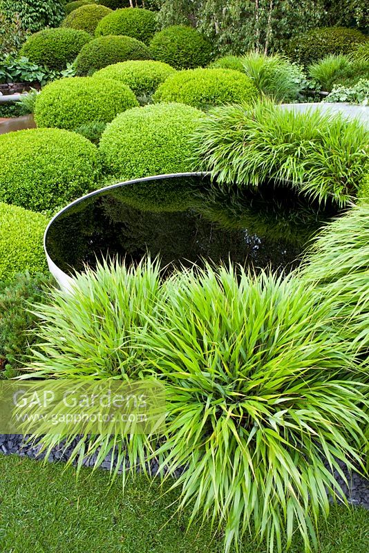 Pond in modern garden 