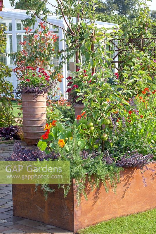 Raised bed with fruit trees and companion planting