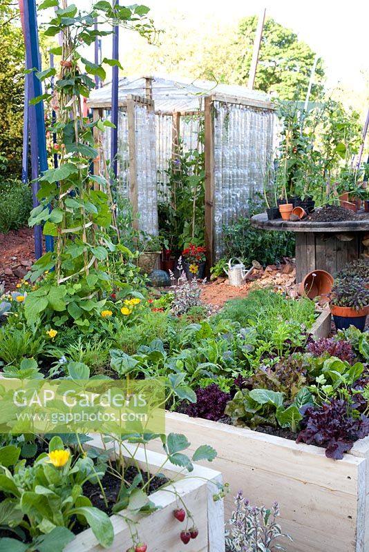 Vegetable garden with greenhouse made of recycled plastic bottles 