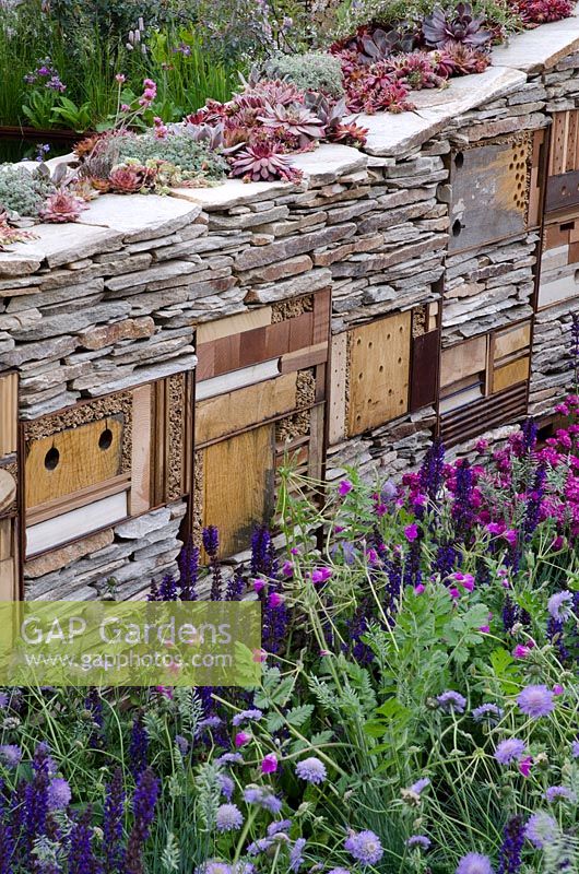 Habitat wall with built-in insect shelters in The Royal Bank of Canada with the RBC New Wild Garden, Silver Gilt Medal Winner - RHS Chelsea Flower Show 2011