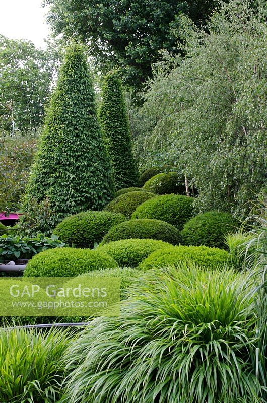 Topiary hedges and trees with ornamental grasses 