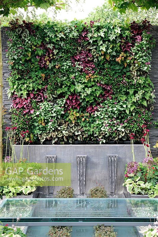 Vertical living wall and water feature 
