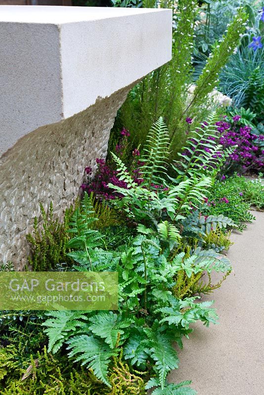 Shade loving plants including Ferns and Erica - Heather planted below an overhang in a York stone garden wall. 'The Art of Yorkshire garden', sponsored by Welcome to Yorkshire - RHS Chelsea Flower Show 2011