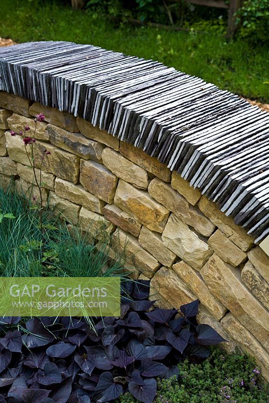 Curved slate and dry stone walls in 'The Art of Yorkshire garden', sponsored by Welcome to Yorkshire - RHS Chelsea Flower Show 2011. Planting includes Thymus, Ipomea, Festuca glauca and Aquilegia vulgaris var. stellata 'Ruby Port'.
