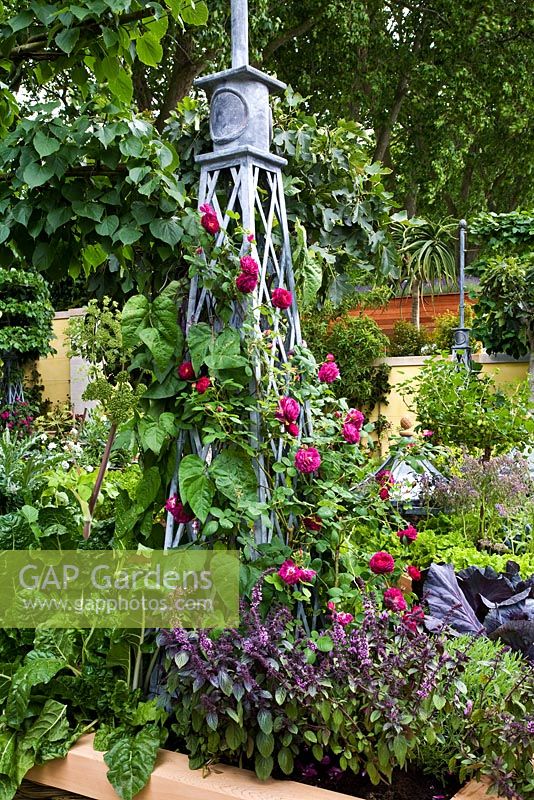 Raised beds in kitchen garden with climbing Rosa on obelisks underplanted with herbs - 'The M and G Investments Garden', Silver Gilt Medal Winner, RHS Chelsea Flower Show 2011 
