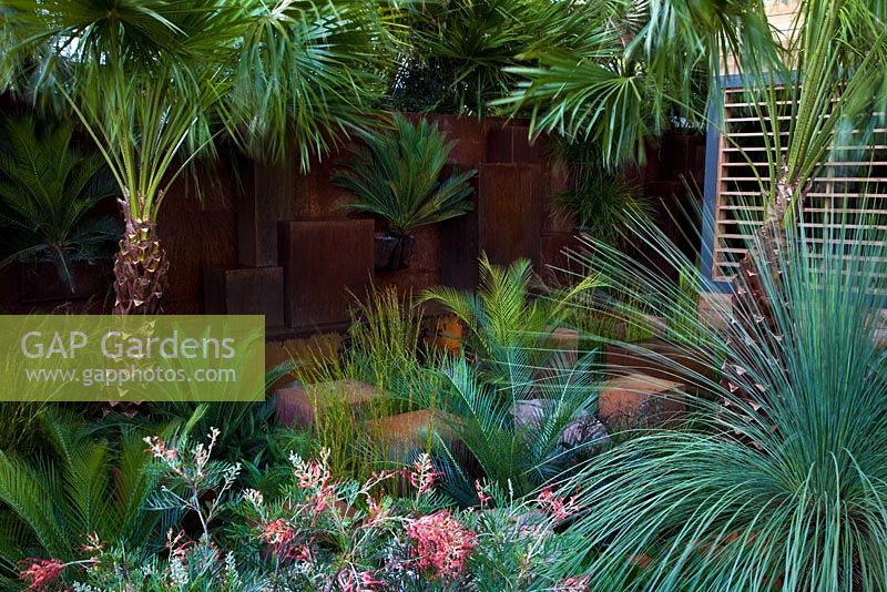 Palms and tropical planting in 'The Australian Garden presented by the Royal Botanic Gardens Melbourne' - Gold Medal Winner, RHS Chelsea Flower Show 2011 
