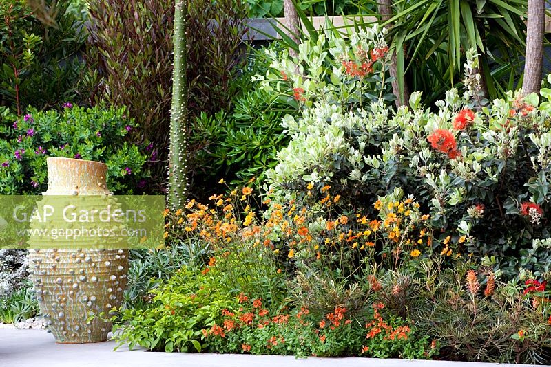 Mediterranean style garden with Olea - Olive trees and drought tolerant planting - 'A Monaco Garden' - Gold Medal Winner, RHS Chelsea Flower Show 2011 

