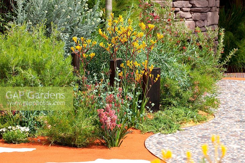 Drought tolerant planting and surfaces representing the outback and salt pans in 'The Australian Garden presented by the Royal Botanic Gardens Melbourne' - Gold Medal Winner, RHS Chelsea Flower Show 2011 