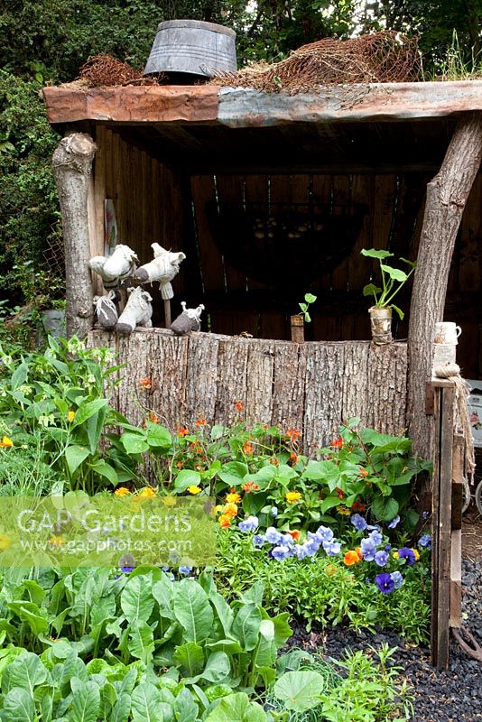Rustic wooden shelter in vegetable garden with rows of Calendula - Marigolds, Phaseolus - Beans and Viola - 'A Child's Garden in Wales', Silver Medal Winner, RHS Chelsea Flower Show 2011 