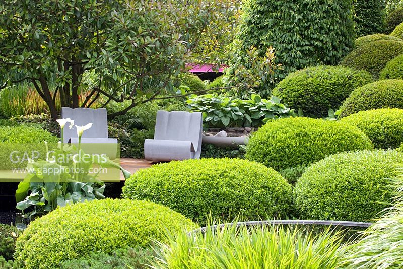 Patio under tree surrounded by mounds of clipped Buxus - Box, Hakonechloa macra and Arum Lily in 'The Irish Sky Garden' - Gold Medal Winner, RHS Chelsea Flower Show 2011