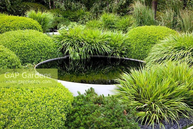 Circular pond surrounded by mounds of clipped Buxus - Box, and  Hakonechloa macra  in 'The Irish Sky Garden' - Gold Medal Winner, RHS Chelsea Flower Show 2011 