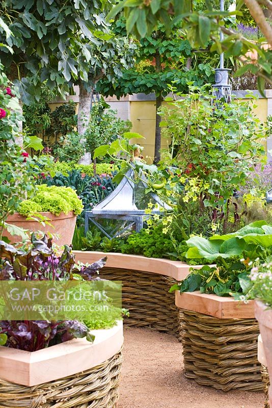 Vegetables and flowers including Phaseolus 'Golden Teepee', Nicotiana 'Lime Green' and Beta vulgaris 'Bulls Blood', growing in raised beds with woven willow and cedar wood edging - 'The M and G Investments Garden', Silver Gilt Medal Winner, RHS Chelsea Flower Show 2011 
 
