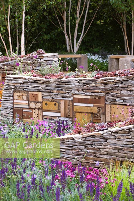 Sculptural drystone walls with built-in insect shelters and Sempervivum - Houseleeks planted on top - The Royal Bank of Canada with the RBC New Wild Garden, Silver Gilt Medal Winner - RHS Chelsea Flower Show 2011 

