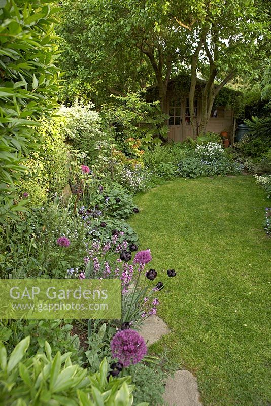 Small town garden in late spring with cottage-style planting in the foreground leading to a woodland border beneath plum trees backed by summerhouse. Allium 'Purple Sensation', Tulipa 'Queen of the Night', Erysimum 'Bowles Mauve', Geranium, Forget-me-nots, Bluebells, Geranium sylvaticum, Ferns, Pieris and Fatsia japonica.
