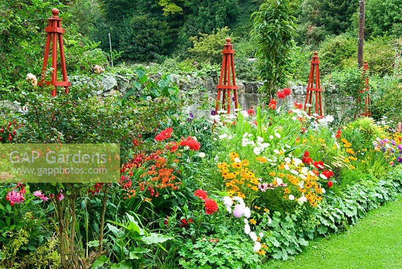 Decorative border punctuated by red wooden obelisks featuring brightly coloured Dahlias, Rudbeckia 'Marmalade', Aster 'Ostrich Plume Mixed', Cosmos 'Purity', Crocosmias and an edging of Alchemilla mollis. The Shute, nr Ventnor, Isle of Wight, UK