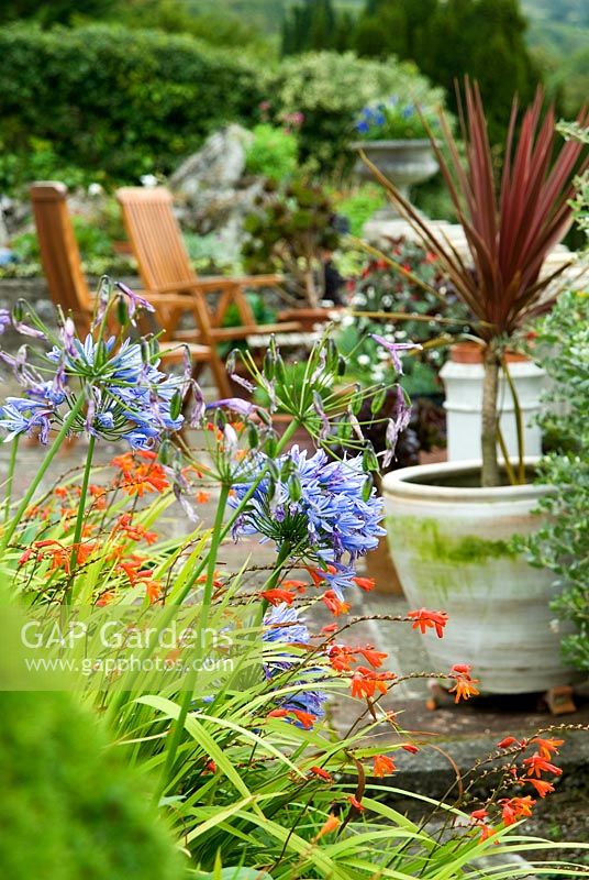 View along terrace framed by agapanthus and crocosmia