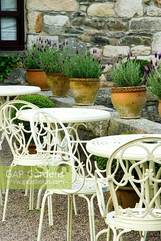 Chairs and tables on the terrace below a line of French lavender