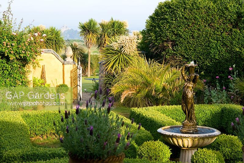 Box parterre with central water feature and pots of French lavender in foreground. Gate beyond reveals cordylines that frame a view to St Michael's Mount