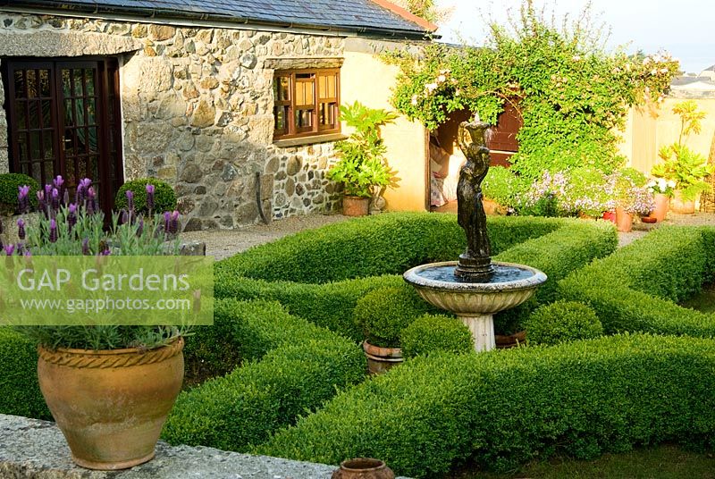 Box parterre with central water feature and pots of French lavender in foreground