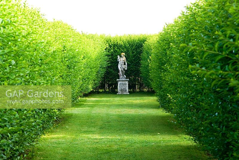Classical statues within a maze of privet hedges 