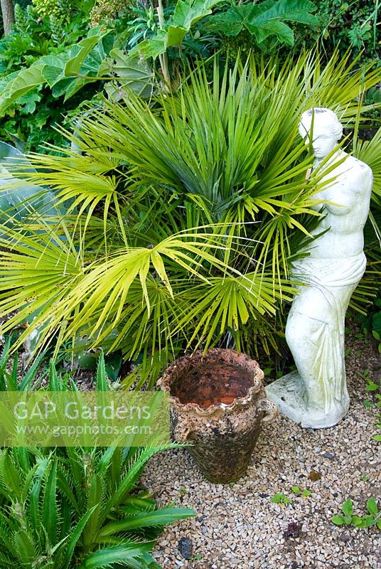 Classical statue beside exotic foliage of palms and eryngiums