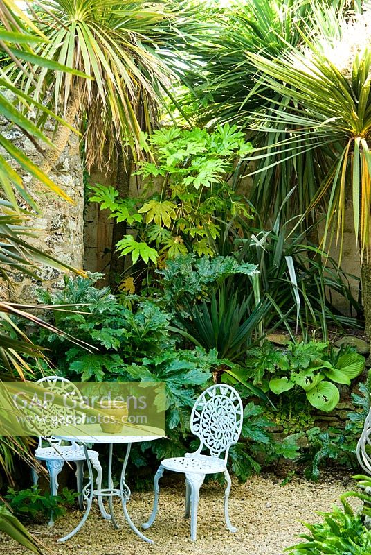 Sheltered seating area amongst exotic foliage including cordylines, fatsias and acanthus