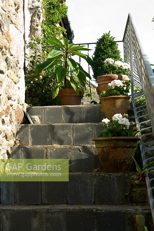 Steps to the first floor of the converted barn decorated with pots of white pelargoniums