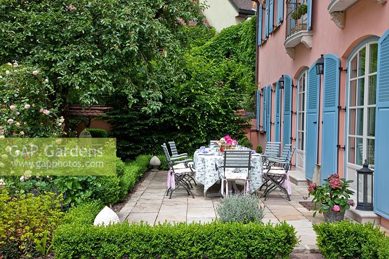The flag stone paved terrace is framed with low clipped Buxus - Box hedge and Rosa 'Pierre de Ronsard' - Handbag Garde, Freising, Germany
 