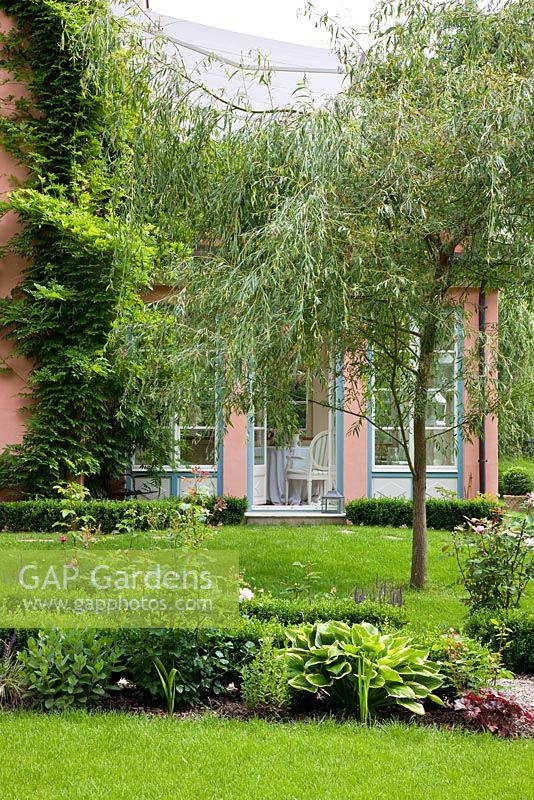 A Salix - Weeping Willow tree and extension building at the place of the former wash house - Handbag Garde, Freising, Germany 
 