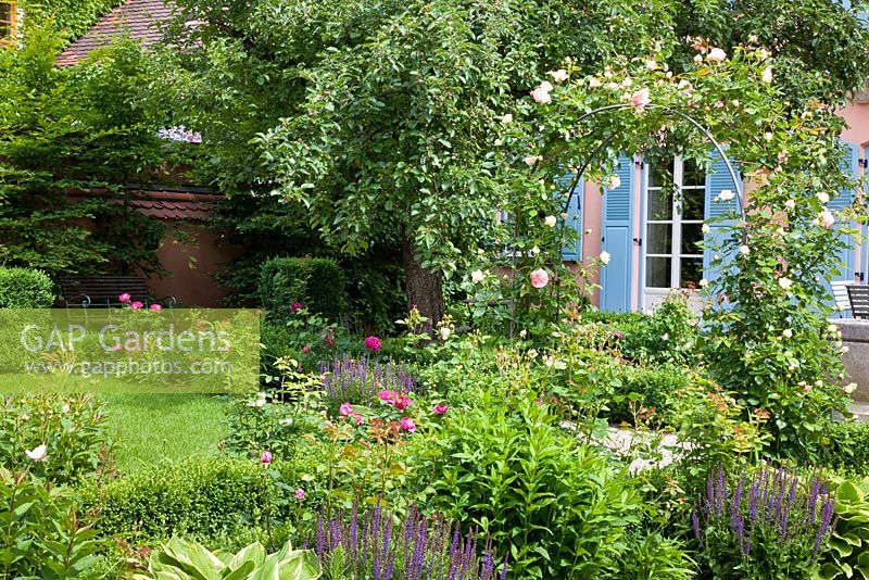 View through arch of Rosa 'Pierre de Ronsard' to family house with blue shutters. Perennial  borders and old Apple tree - Handbag Garde, Freising, Germany 
 