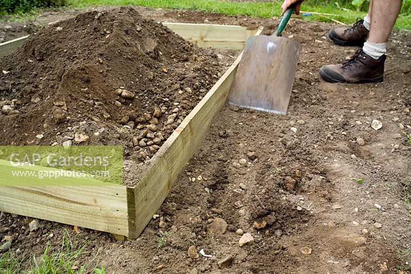 step by step, making a raised bed - filling in holes and trench