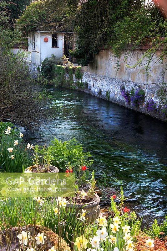 Colourful pots of spring bulbs overlooking the River Till - Mill House, Wylye Valley, Wiltshire