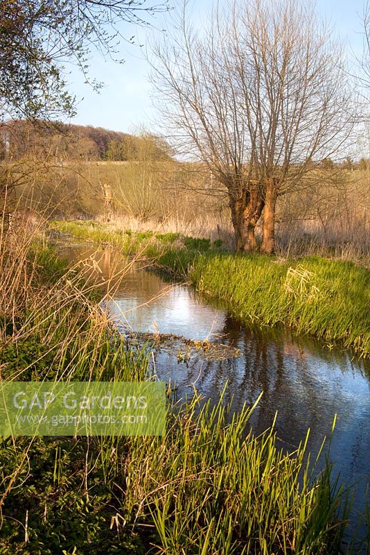 One of the streams running through the water meadow - Mill House, Wylye Valley, Wiltshire
