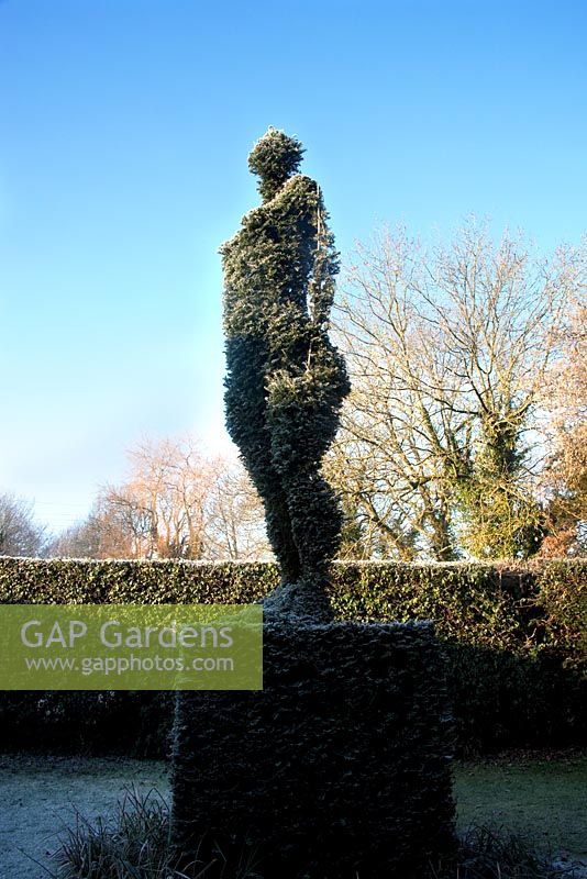 An Amazonian like woman made out of clipped Taxus - Yew by Deborah - Cantax House, Lacock, Wiltshire UK 
 